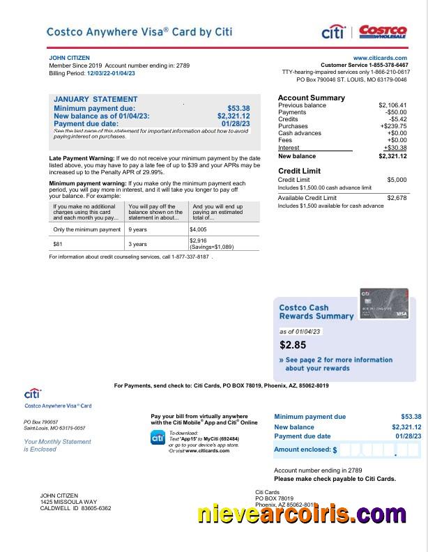 USA Citi bank card statement Word and PDF, 2 pages